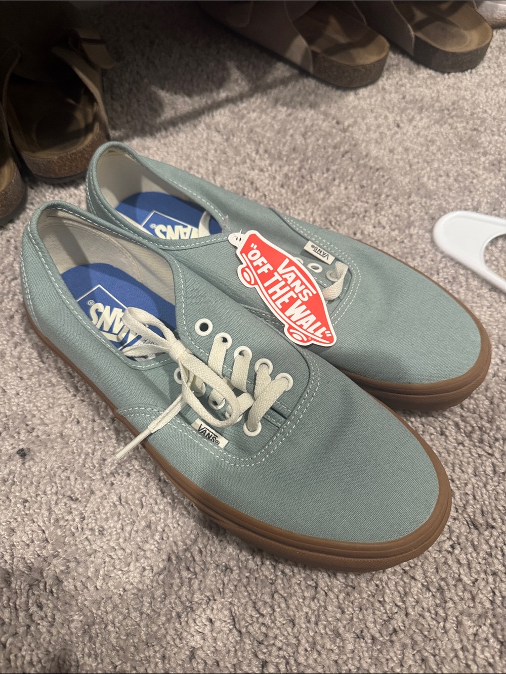 Vans Men's Canvas Low-Top Sneakers in Sage Green with Gum Sole